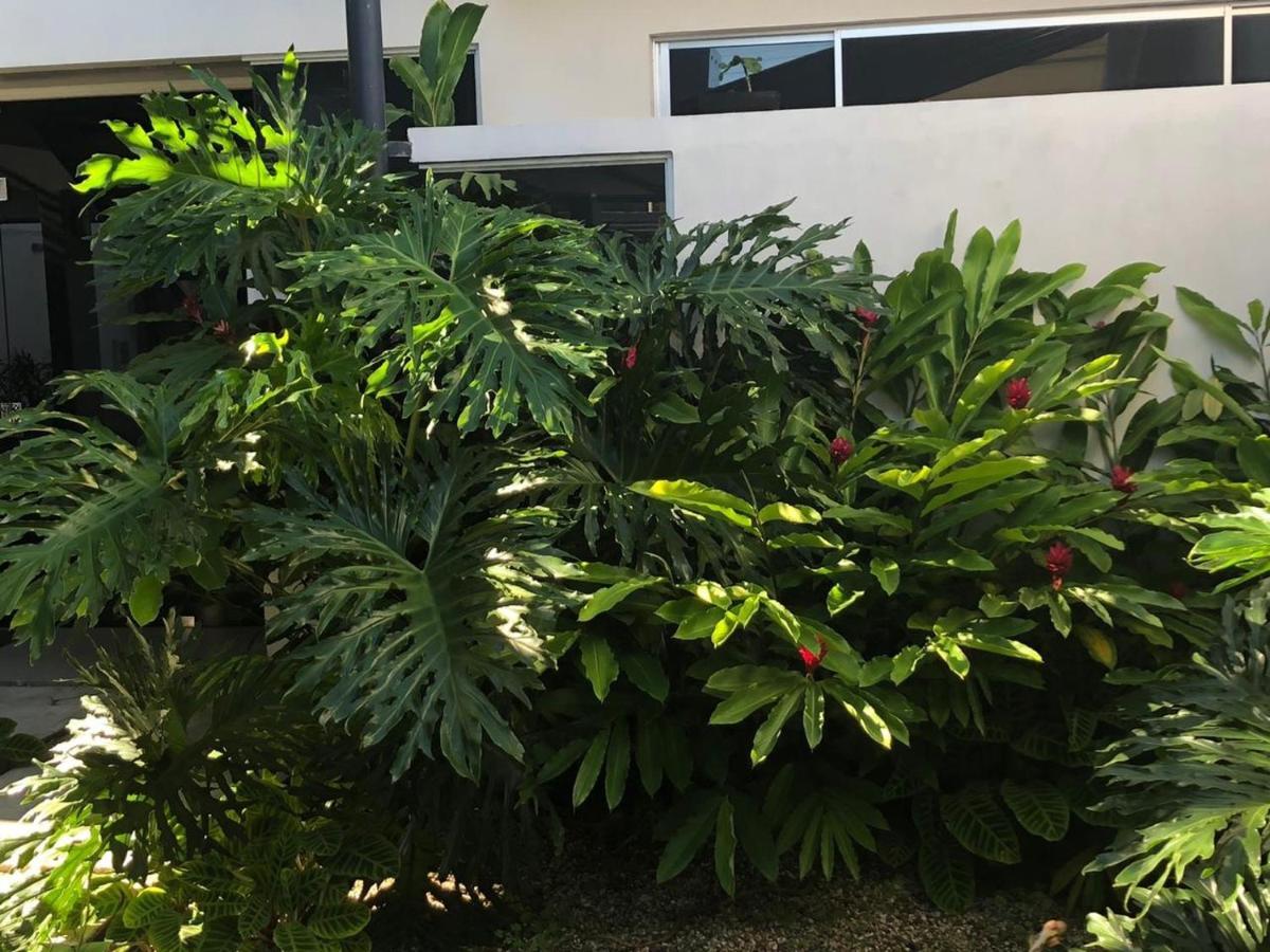 Costa Rica San Jose Full And Comfortable Apartament Pinares Curridabat Экстерьер фото
