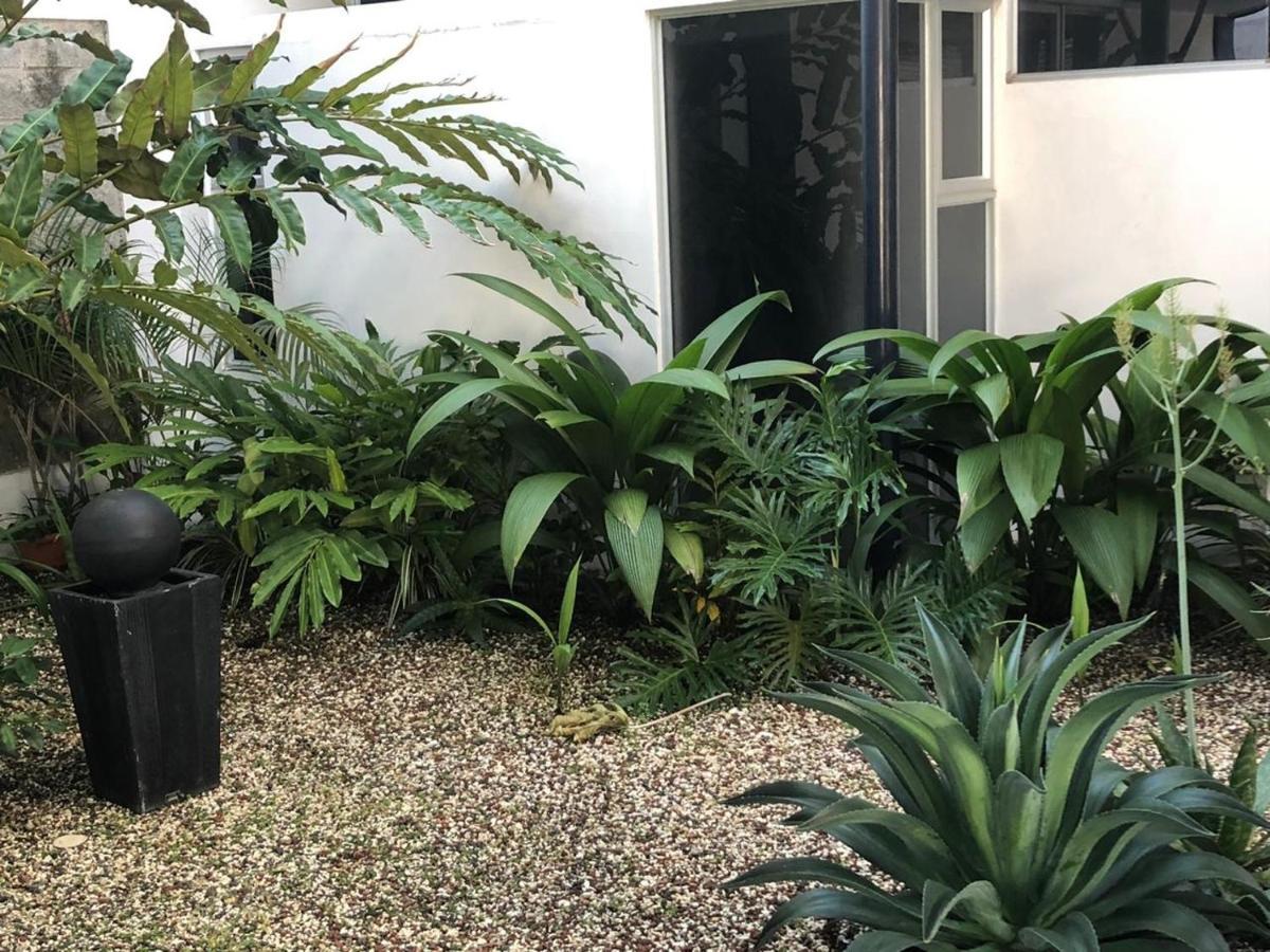 Costa Rica San Jose Full And Comfortable Apartament Pinares Curridabat Экстерьер фото