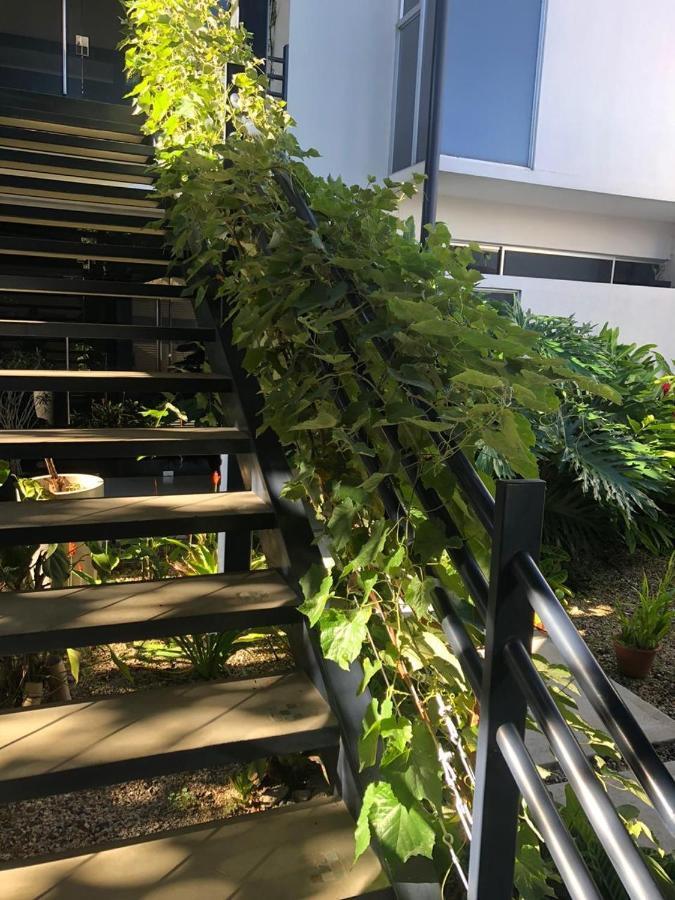 Costa Rica San Jose Full And Comfortable Apartament Pinares Curridabat Экстерьер фото